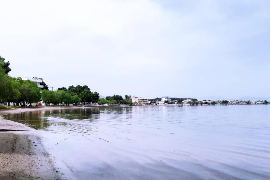 Πολυτελές Διαμέρισμα 2 Χαλκίδα-Παραλία Αυλίδος Paralia Avlidhos Dış mekan fotoğraf